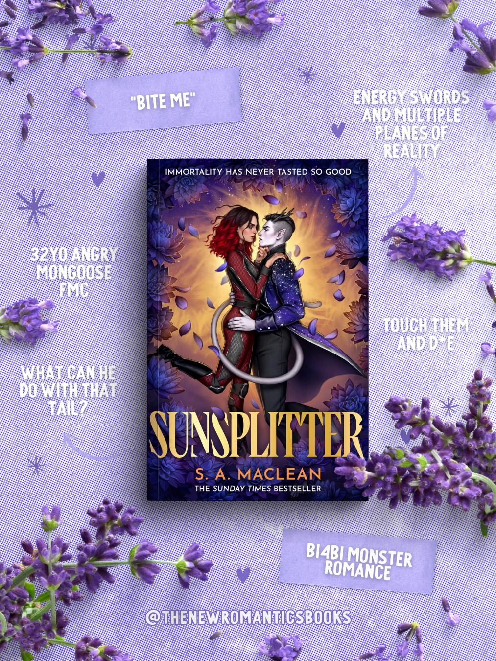 Author Chat with S.A. MacLean