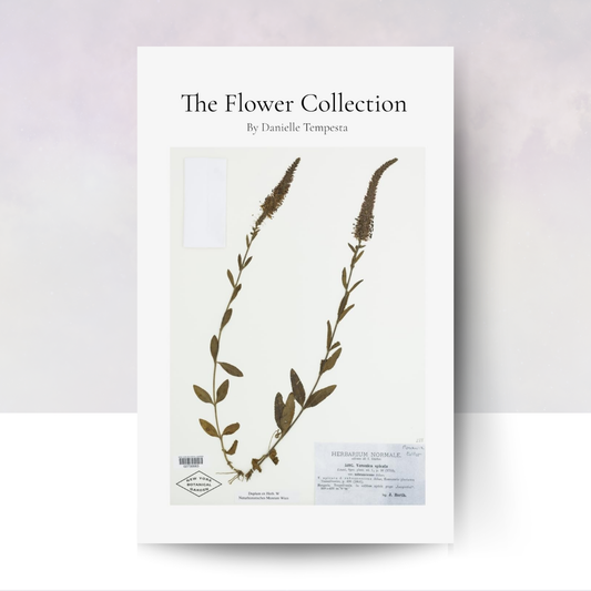 The Flower Collection
