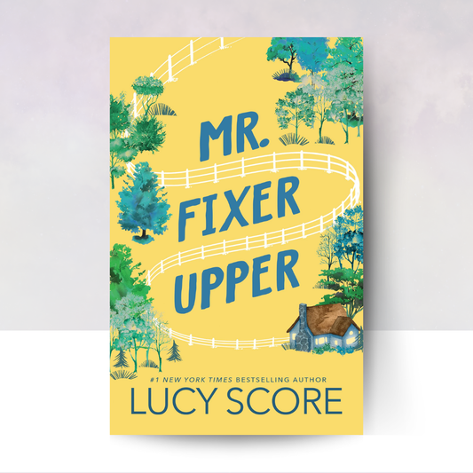 Mr. Fixer Upper