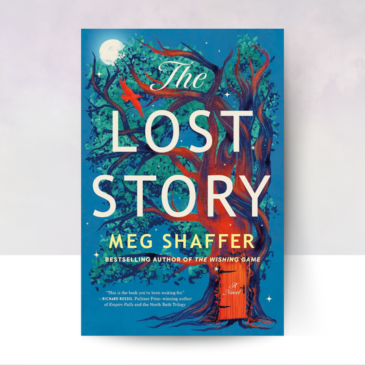 The Lost Story